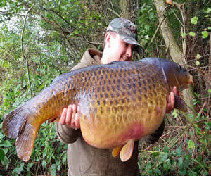 croc36